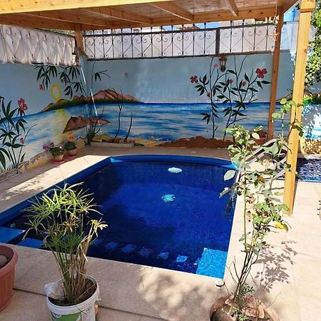 Villa Louise Guest House Luxor Kültér fotó