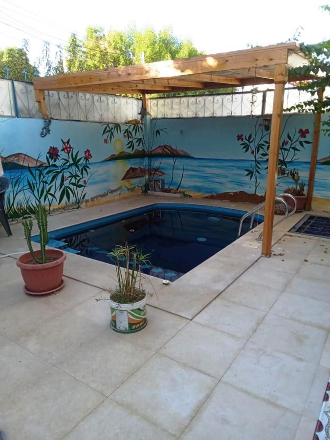 Villa Louise Guest House Luxor Kültér fotó