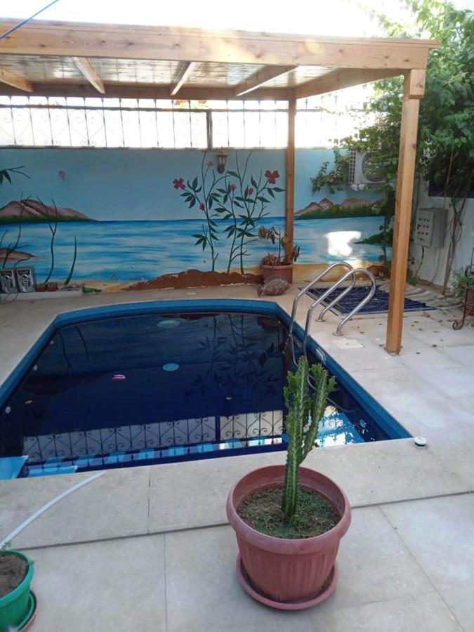 Villa Louise Guest House Luxor Kültér fotó