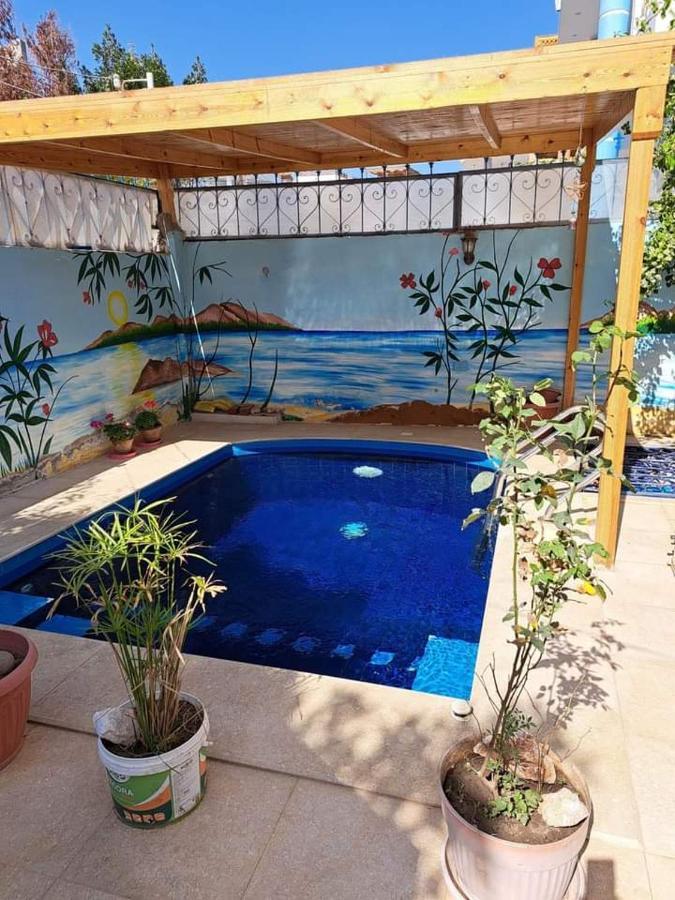 Villa Louise Guest House Luxor Kültér fotó